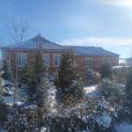 Сания, фото