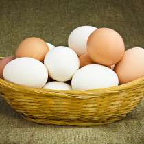 Яйца куриные, в Санкт-Петербурге