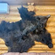 Шкура медведя натуральная, в Ижевске