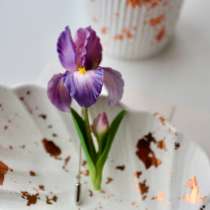 Брошь с ирисом, в Казани