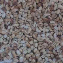 Арахис жареный не соленый, в Санкт-Петербурге