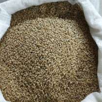 Пшеница (зерно), в Казани