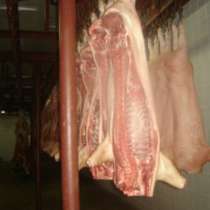 продаю свинину, говядину полутушами, в Воронеже