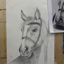 Продам академ рисунок, в Троицке