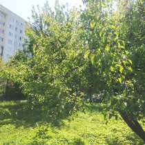 Продам зем участок в черте города, в Калининграде