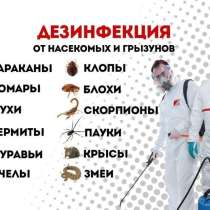 Избавим от вредителей, насекомых, и запахов! Скидка 30%!, в Санкт-Петербурге