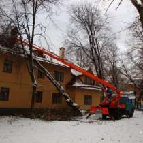 Снос (спил) аварийных деревьев, в Новосибирске