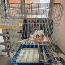 Клетка для попугая, в Тобольске