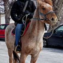 Жанбулат, 39 лет, хочет пообщаться, в г.Астана