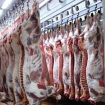 Производство мяса в ассортименте, продажа оптом, в Пушкино