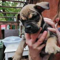 Ну возьмите меня, в Москве