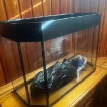 Аквариум, в Красном Сулине