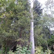 Продается земельный участок, в Москве