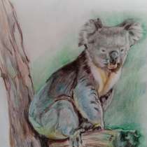 Рисунок коалы, в Энгельсе