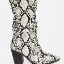 Казаки &laquo;Betsy&raquo;, в Москве