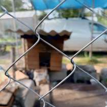 Продам участок СНТ Южное 36, в Санкт-Петербурге