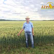 "Бинарные посевы в системе No-till" авторский курс, в Ростове-на-Дону