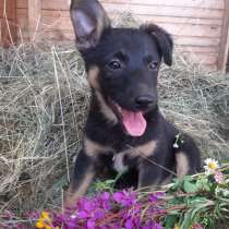 Кто искал счастье? Вы его нашли, в Москве