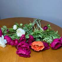 Цветы для интерьера, в Коломне