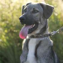 Стеша ищет дом!, в Москве