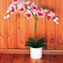 Цветы из капрона. Орхидея из капрона, в Чебоксарах