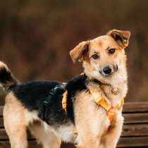 Юнити в поисках билета в счастливую жизнь!, в Москве