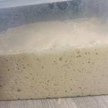 Закваска Левито Мадре, в Балашихе