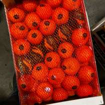 Клементин (сладкий мандарин), в Санкт-Петербурге