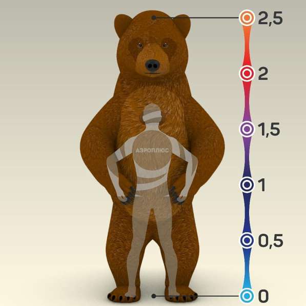 Надувной костюм медведь в Краснодаре фото 3