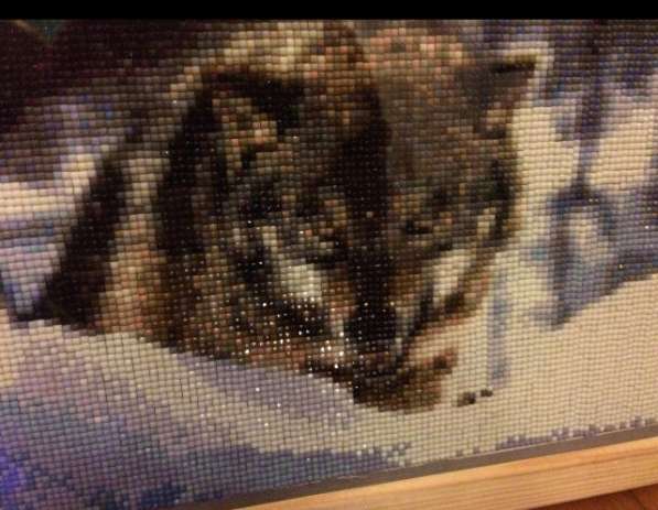 Картина волк в Москве фото 3