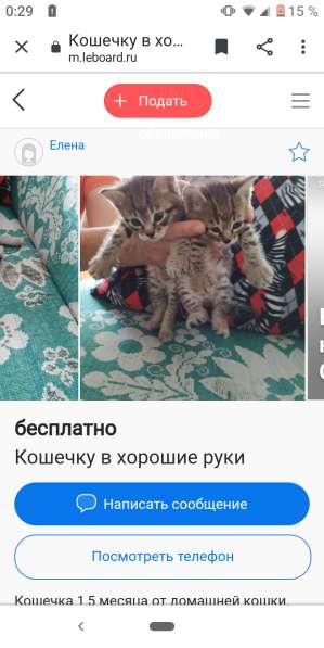 Хорошие котики