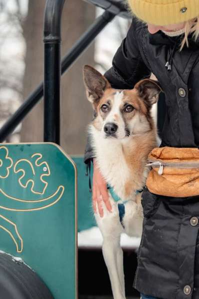 Тунис в поисках любящей семьи в Москве фото 24