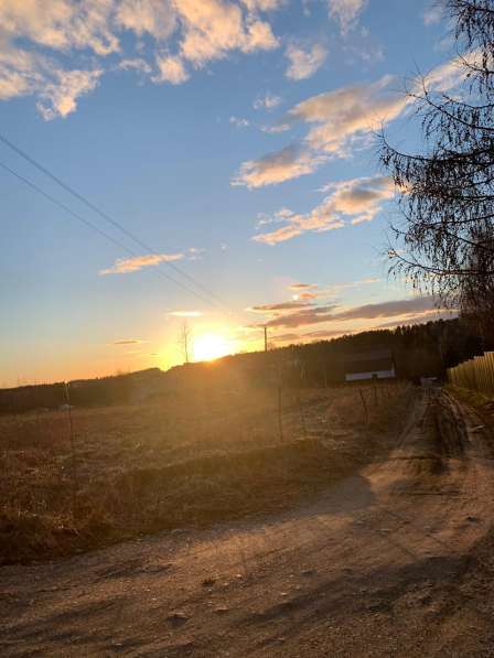 Земельный участок в д Мерево, Лужский район в Санкт-Петербурге фото 4