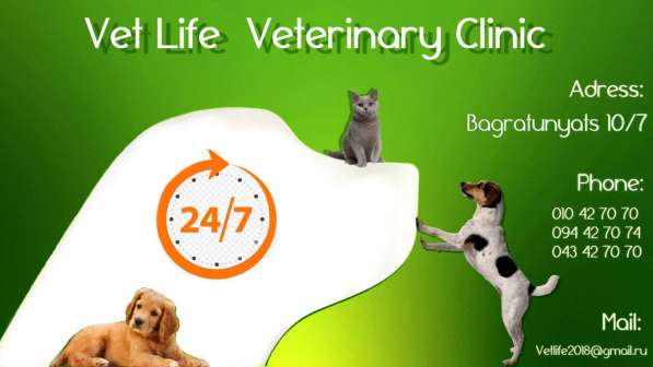 VETLIFE Veterinary clinic в 