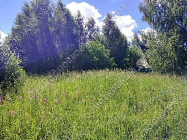 realty_mapper3.plot_in_locationСадовое некоммерческое тов-во. Площадь 12.00 сот.Есть Электричество. в Москве фото 3