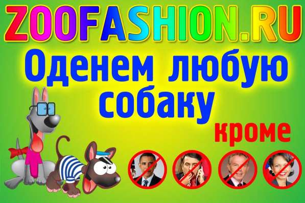 Одежда для собак в Москве