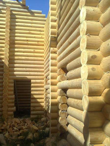 Производим бревно оцилиндрованное в фото 16