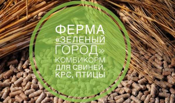 Ферма « Зелёный город»