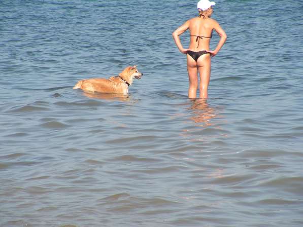 Продажа земельного участка в Ростове-на-Дону фото 3