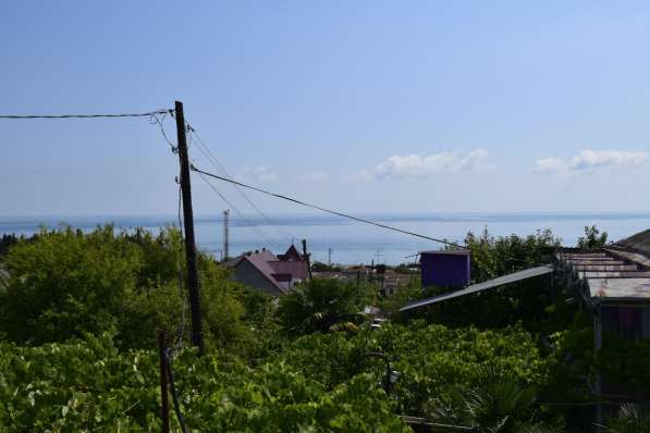 Отдых на море в Цандрипше в Санкт-Петербурге фото 11