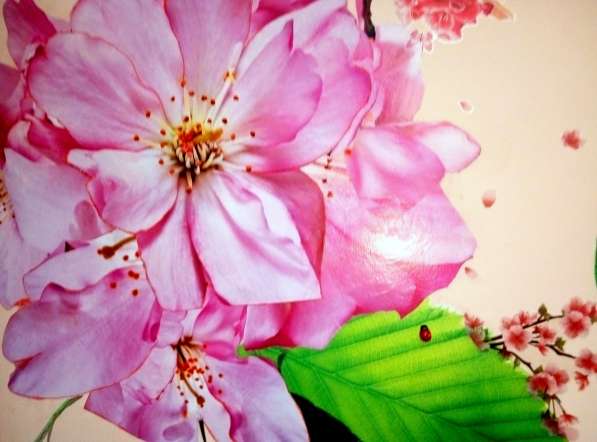 Большая кв посуточно в Волгограде фото 4