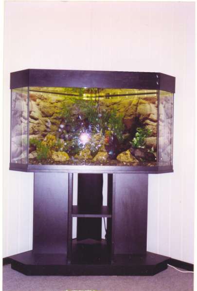 Обслуживание аквариумов
