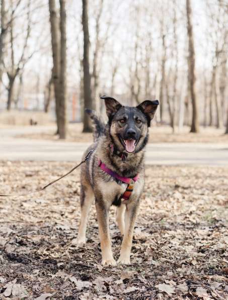 Ласковая и весёлая Мира в Москве фото 4