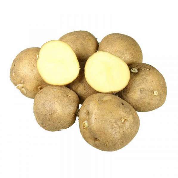Картофель семенной Колобок