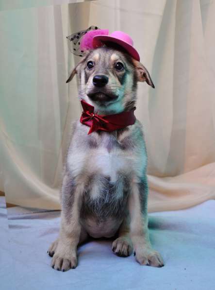 Великолепная Четверка в дар в Москве фото 48