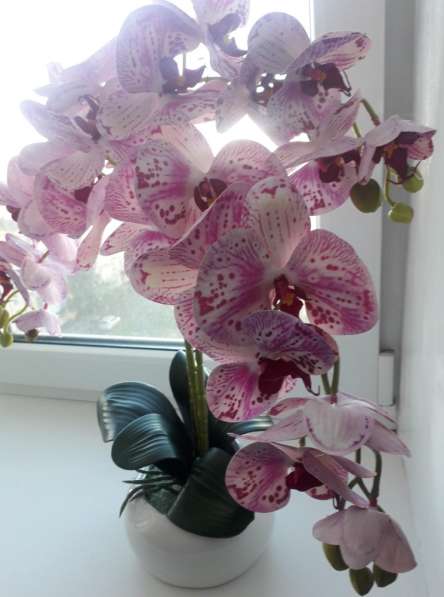 Композиция из силиконовый орхидеи в Елеце фото 4