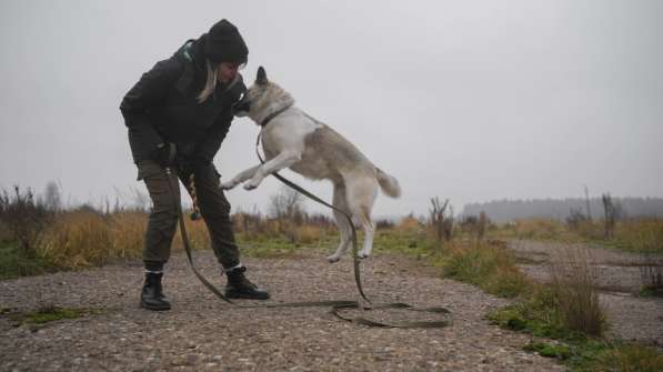 Суперактивная Халва в Москве фото 58