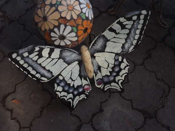 Бабочка декоративная в Набережных Челнах фото 8