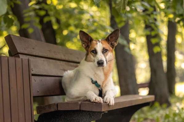 Тунис в поисках любящей семьи в Москве фото 12