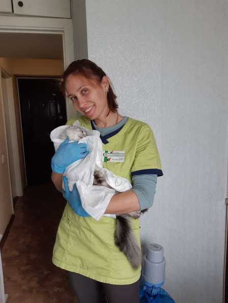 Ветеринарная помощь 911 в Архангельске
